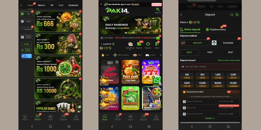 The PAK14 Game images represents a gaming platform offering different game categories, bonus offers, rewards, and convenient deposit and withdrawal methods.